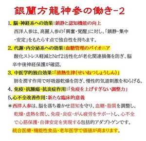 銀蘭方龍神参