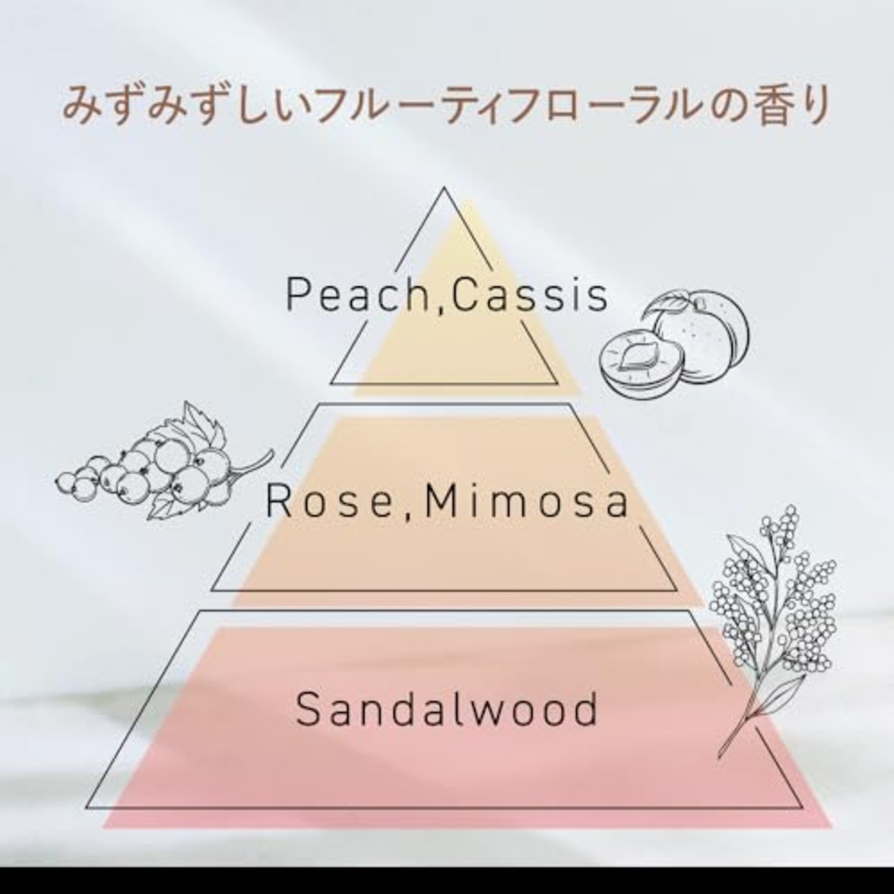 サクセス24 モイストフィールシャンプー つめかえ用 〈フルーティフローラルの香り〉320ml