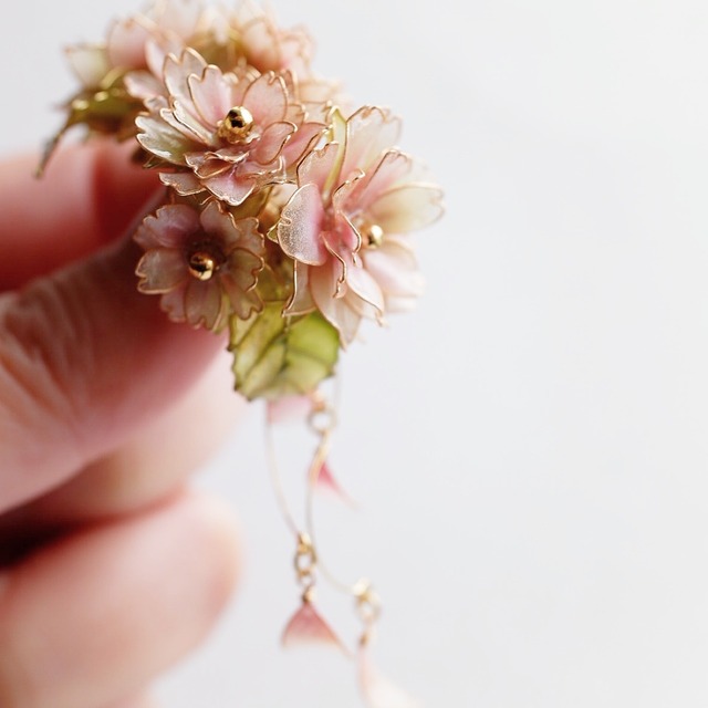 御衣黄桜