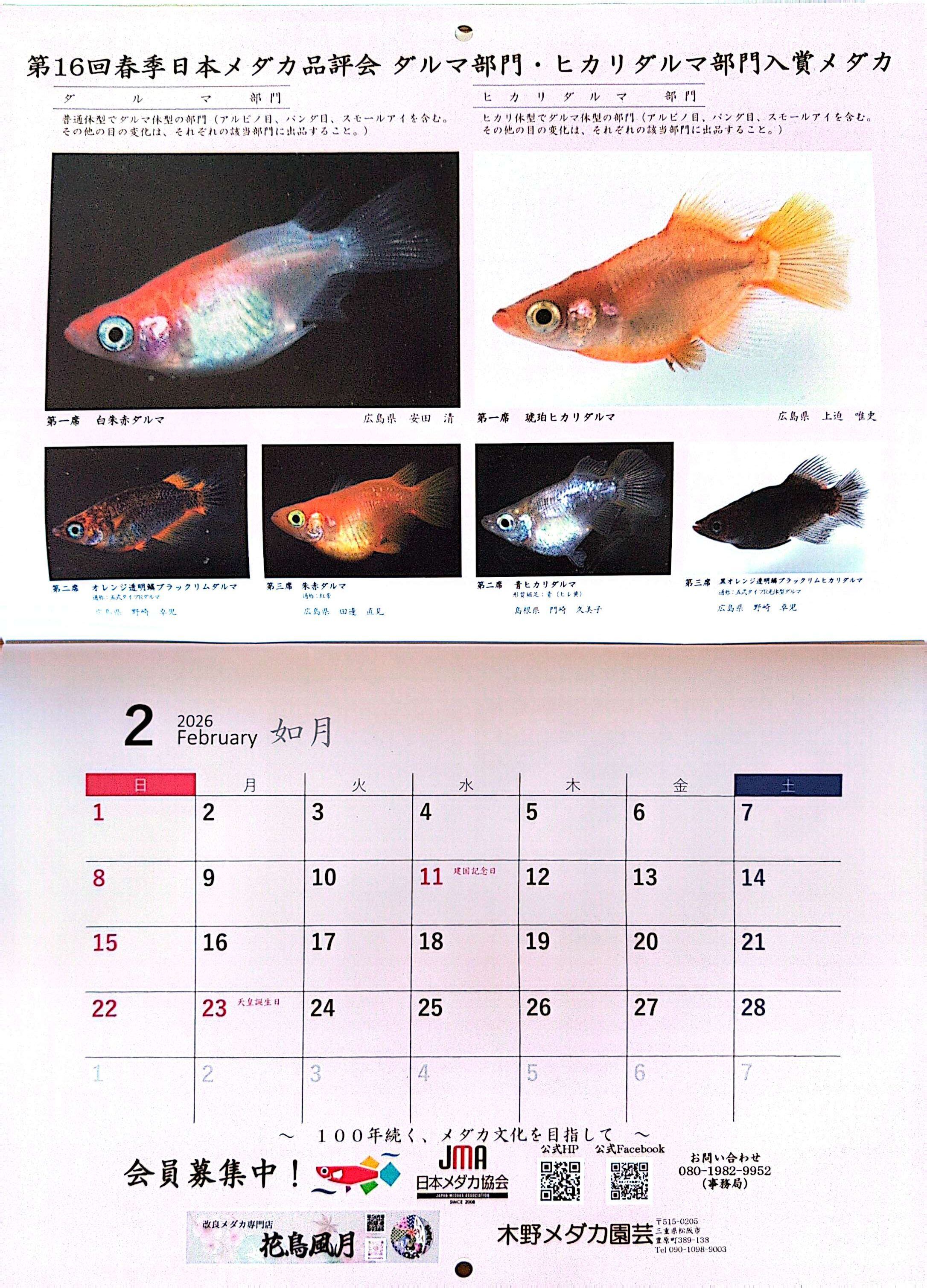 めだかカレンダー2026 | 天草美咲めだか