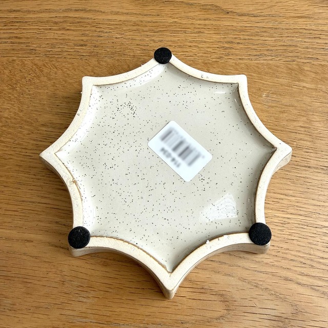 ペペロミア・プテオラータ