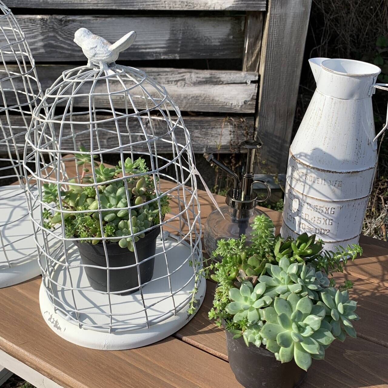 レゼル バードケージ / ガーデン雑貨 小鳥 ナチュラルアンティーク