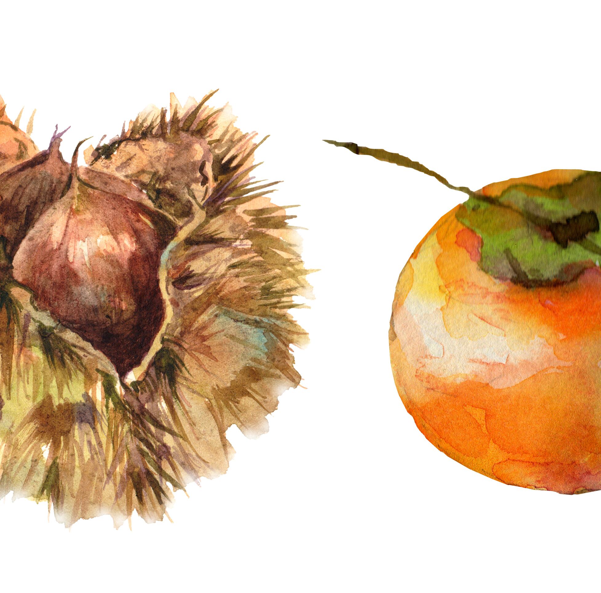秋のフルーツの水彩画セット | イラスト素材屋
