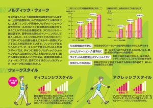 KIZAKI キザキ ポールケース ポール収納 バッグ コンパクト 登山 AAK-022