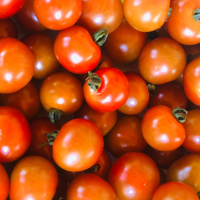 「樹上完熟ミニトマト1kg」×「季節野菜2品」セット