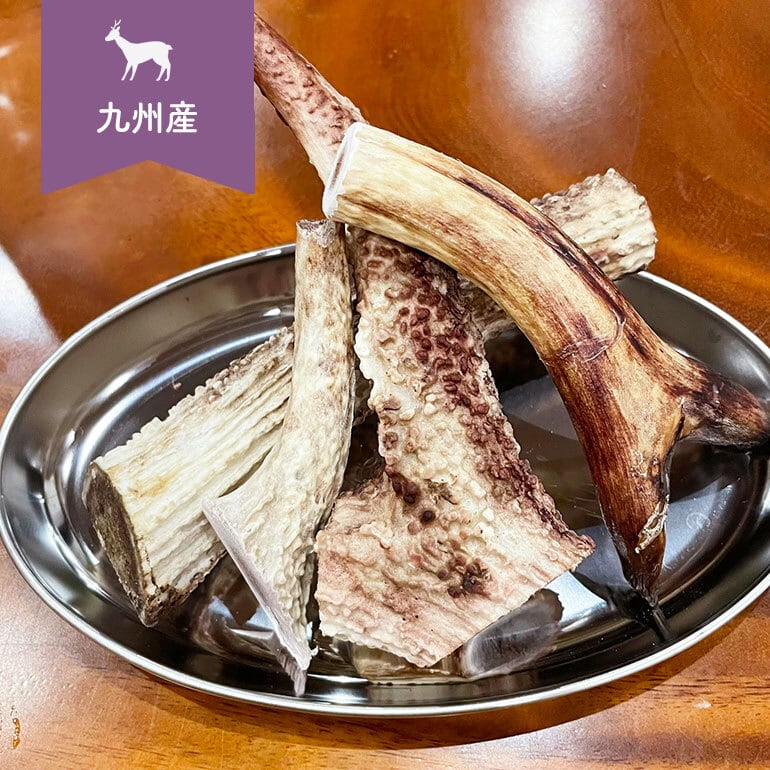 九州産天然鹿100%使用！鹿ツノ Sサイズ | PADOMFOOD