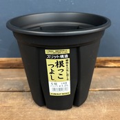 根っこつよし 5号 ﾌﾞﾗｯｸ