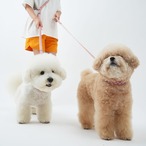 【PUPPYGALLERY公式】ポーカーフェイス・レトロフラワー首輪　L