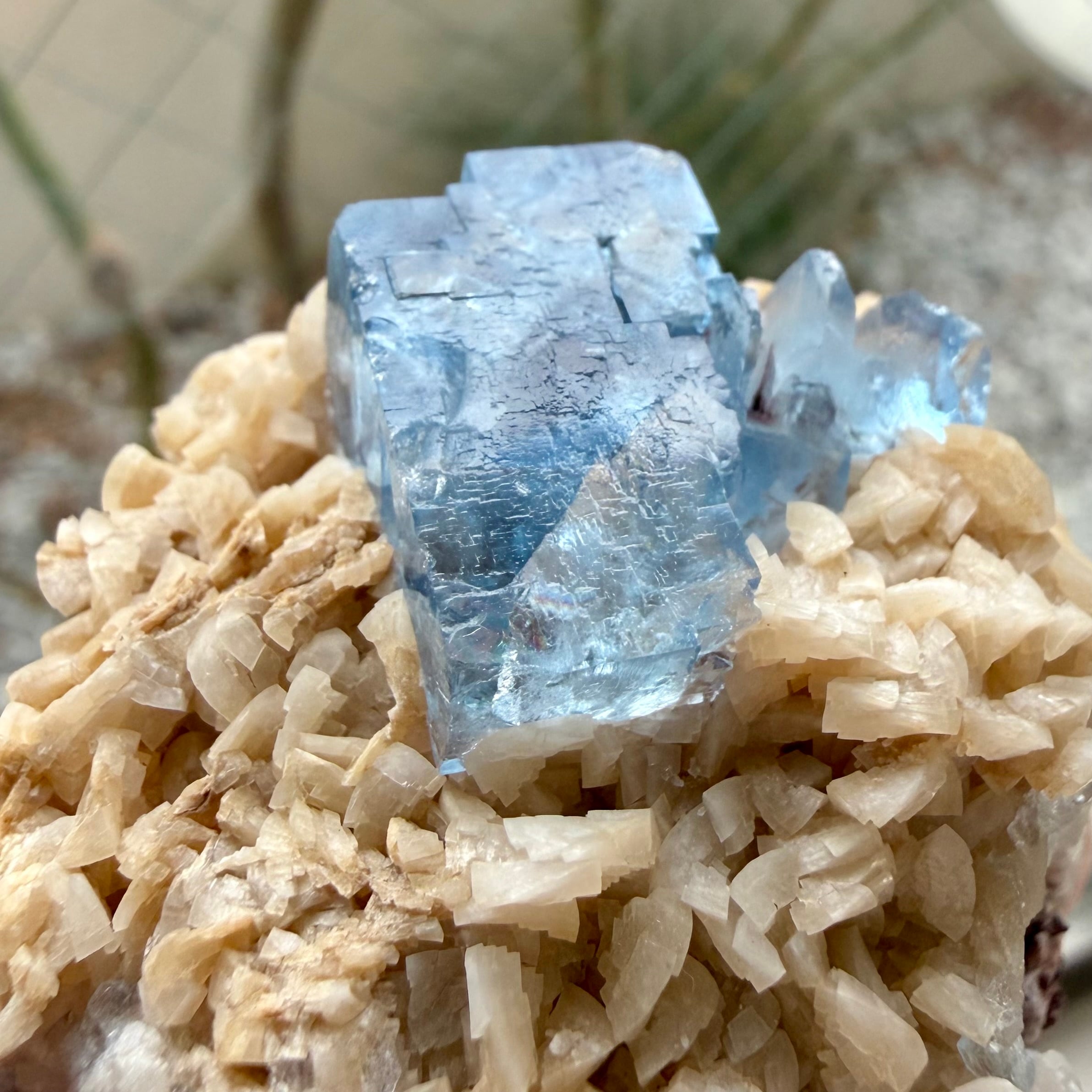 フローライト / ドロマイト【Fluorite on Dolomite】イングランド産