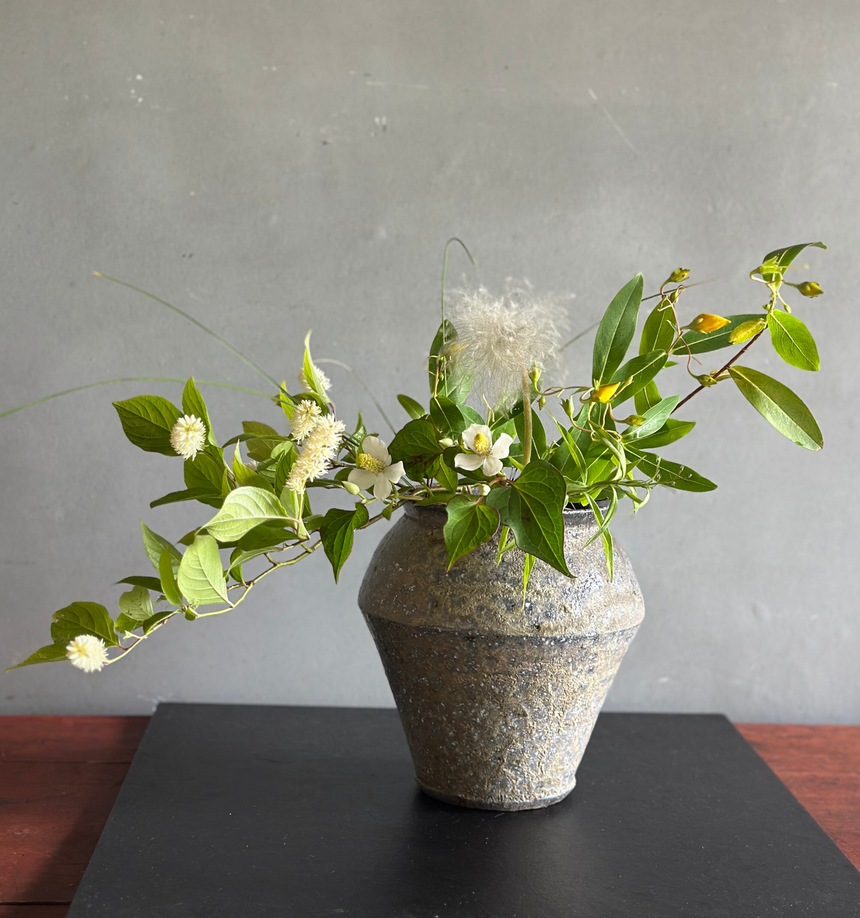竹下 鹿丸 Shikamaru Takeshita | Gallery HANNA shopping