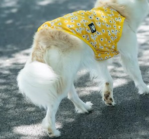 キャミソール　2XL〜9XL