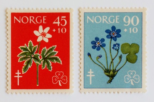 複十字 / ノルウェー 1960