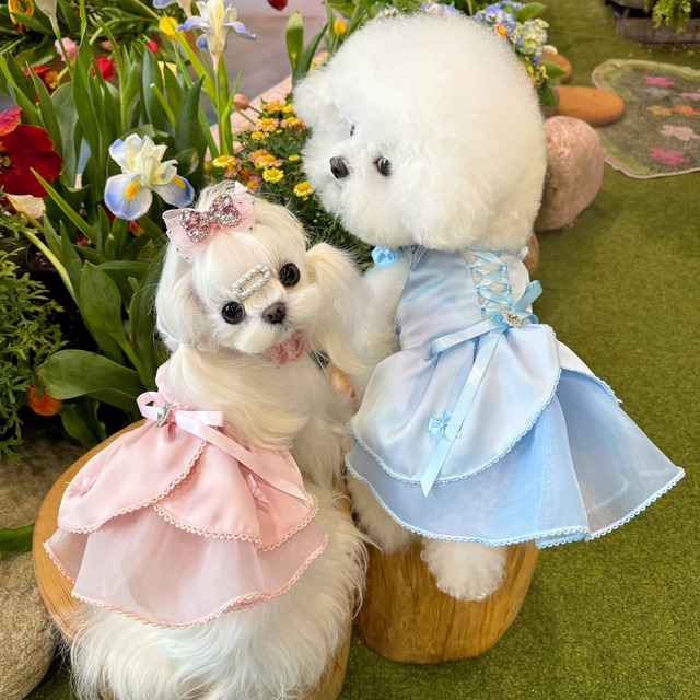 サテンの高級プリンセスラインドレス     4056