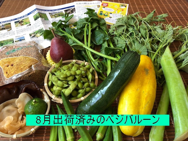 ベジバルーンセット9月（長月）『秋思　秋めく野菜たち』　　