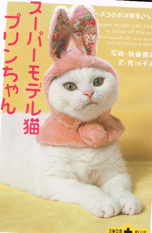 スーパーモデル猫プリンちゃん（文庫本）