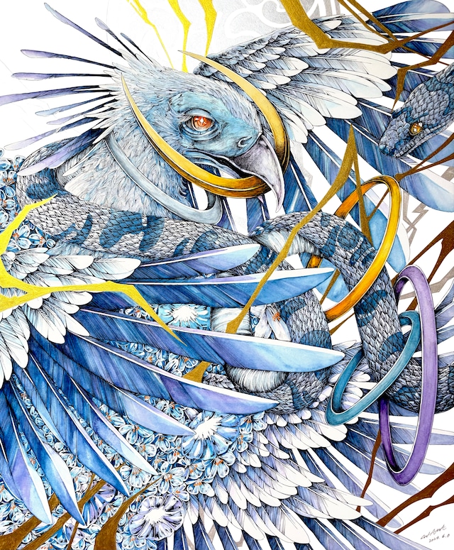 WAKA「爽明雷光」