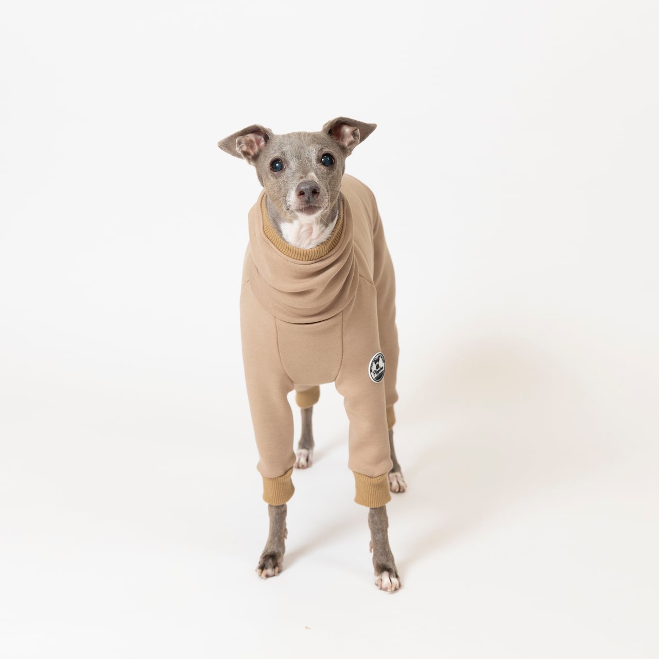 シルキーボンバーヒートロンパース beige / イタグレ服 | イタグレ服