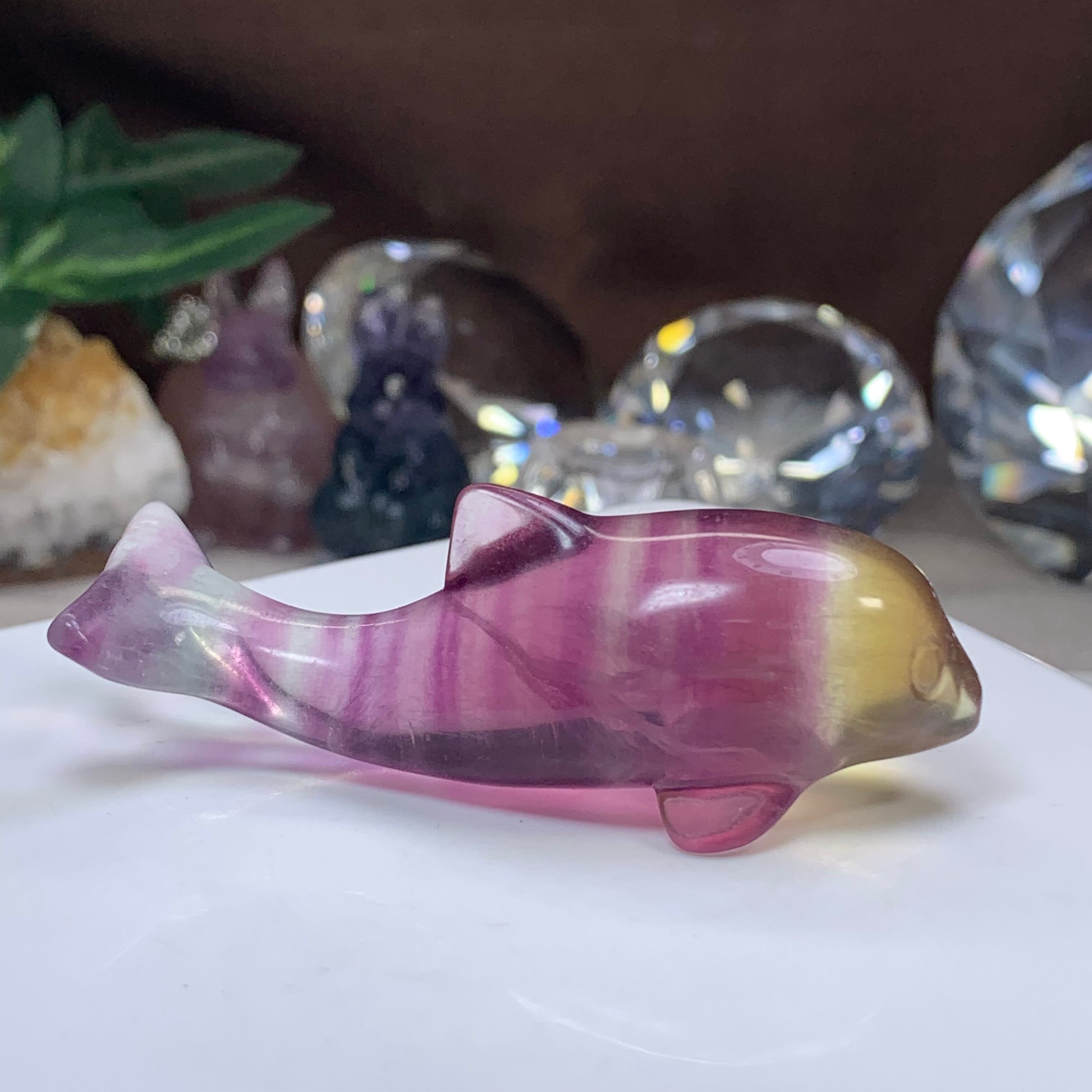 12.癒☆可愛いフローライトイルカさん・ペアセット | Naturaltreasure