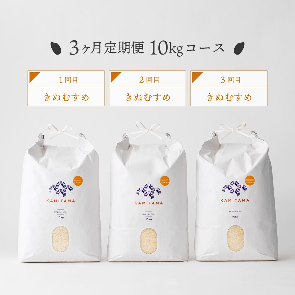 取り置きNG 令和6年度米 きぬむすめ 20キロ