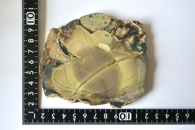 ブルーマウンテン・ジャスパー Blue Mountain Jasper  1198