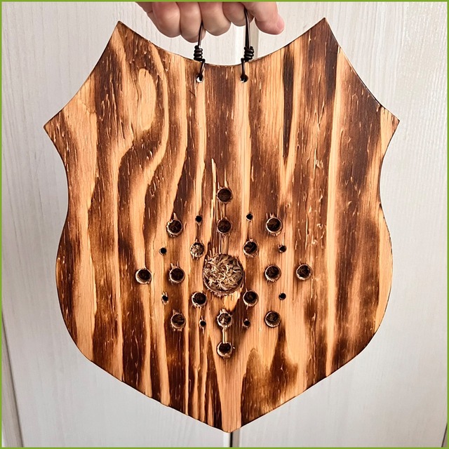 ビカクシダ ヒリードラゴン 板付 【観葉植物 壁掛け コウモリラン】