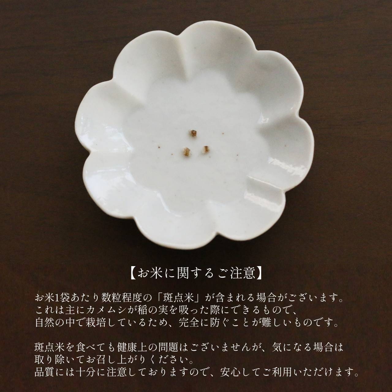 【R7年度】農家直送 新潟県弥彦村産 雪国コシヒカリ 玄米20kg 贈り物に◎ ご家庭用に◎