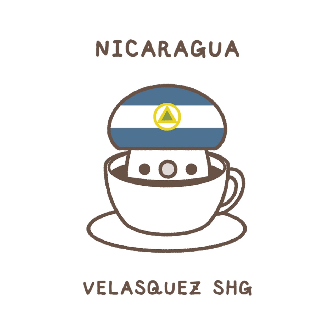 【300g】ニカラグア パブロ・ヴェラスケス農園 SHG