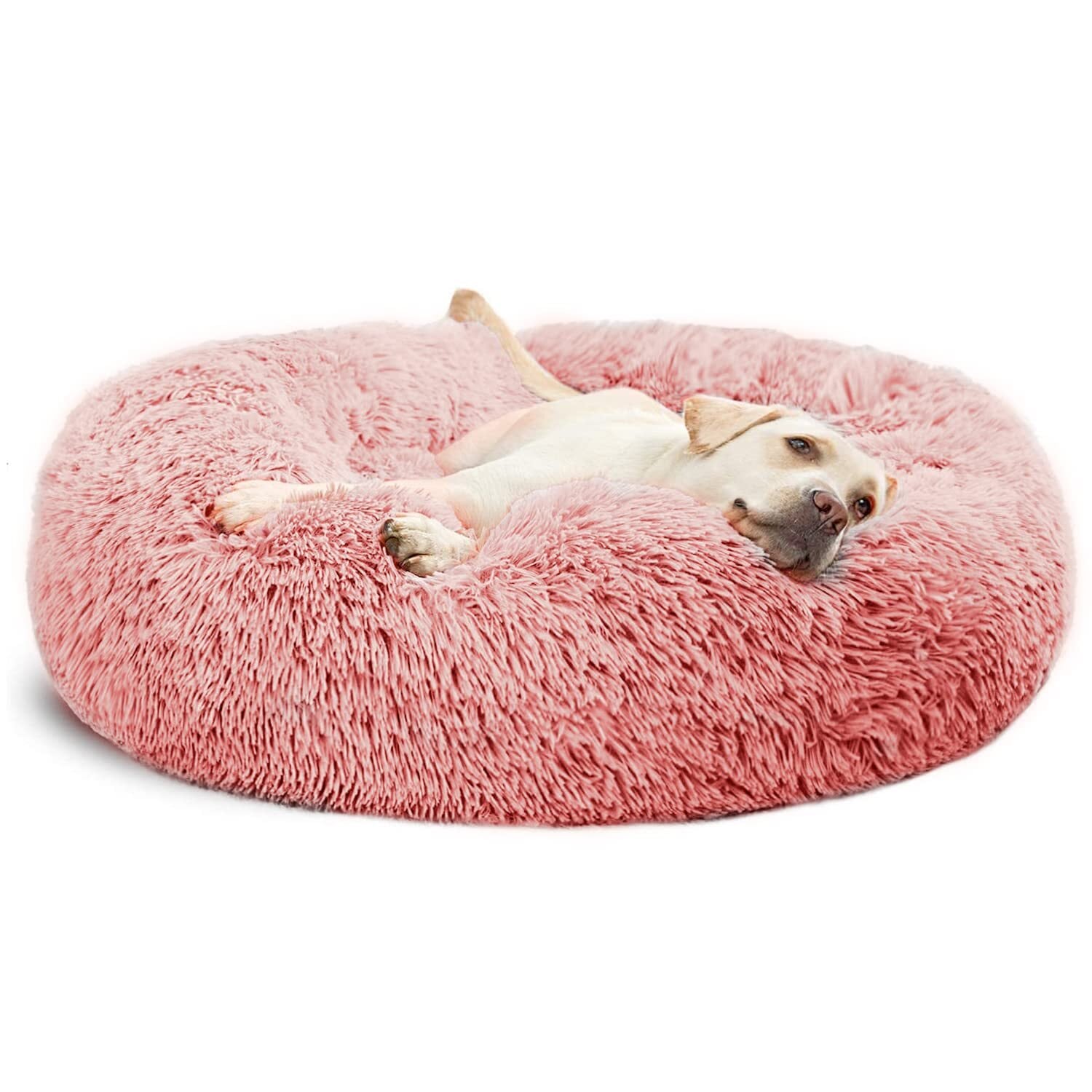 新品未使用 ファッショナブル ドーナツ オーナメント ホワイト 【公式