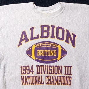 四段プリント L 90s グレー リバースウィーブ チャンピオン スウェット