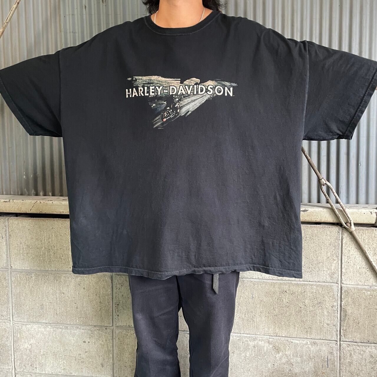 スーパービッグサイズ 00年代 USA製 Harley-Davidson ハーレー