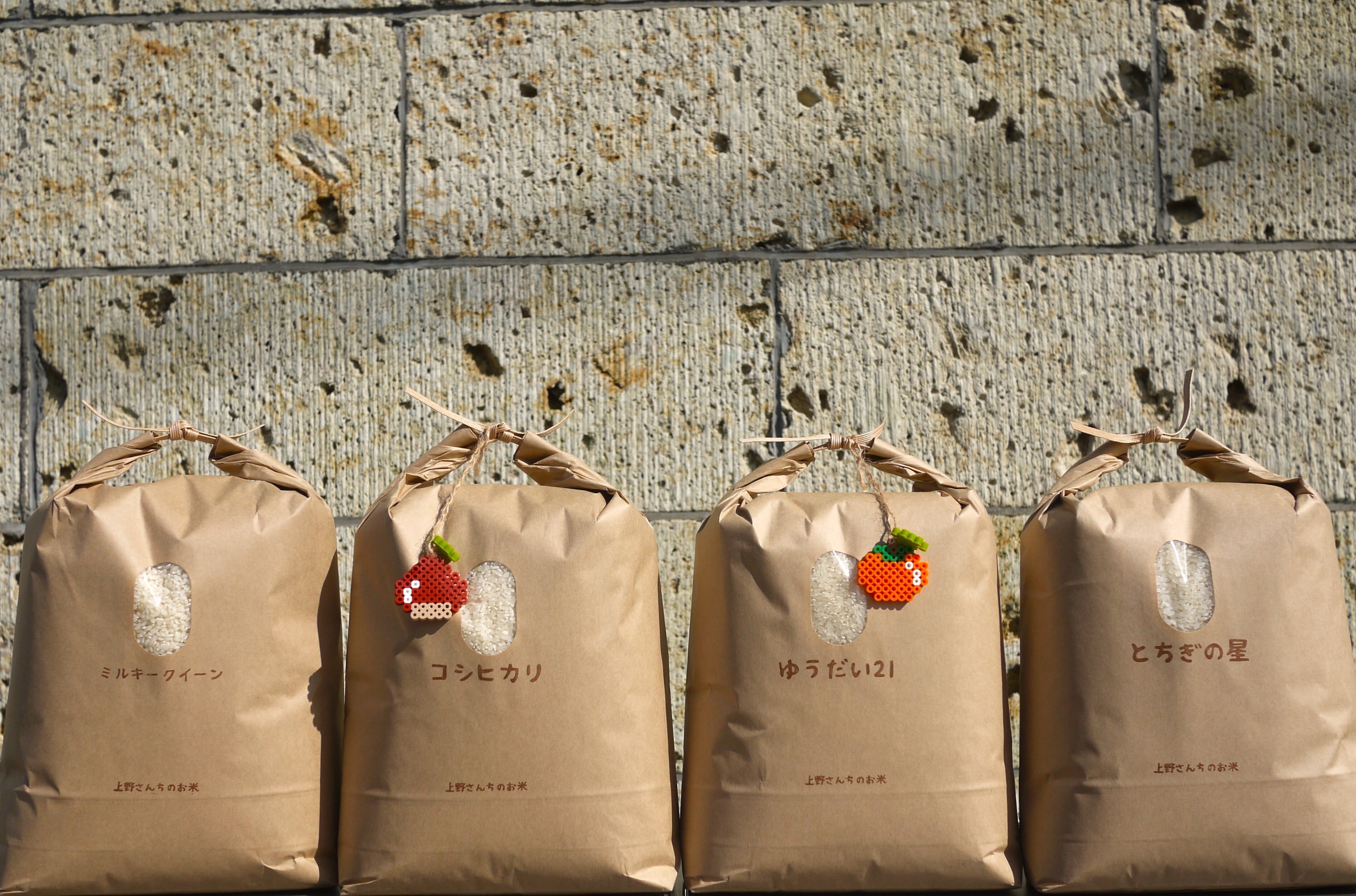 送料無料『ゆうだい21』【白米・無洗米】内容量10kg・令和7年産