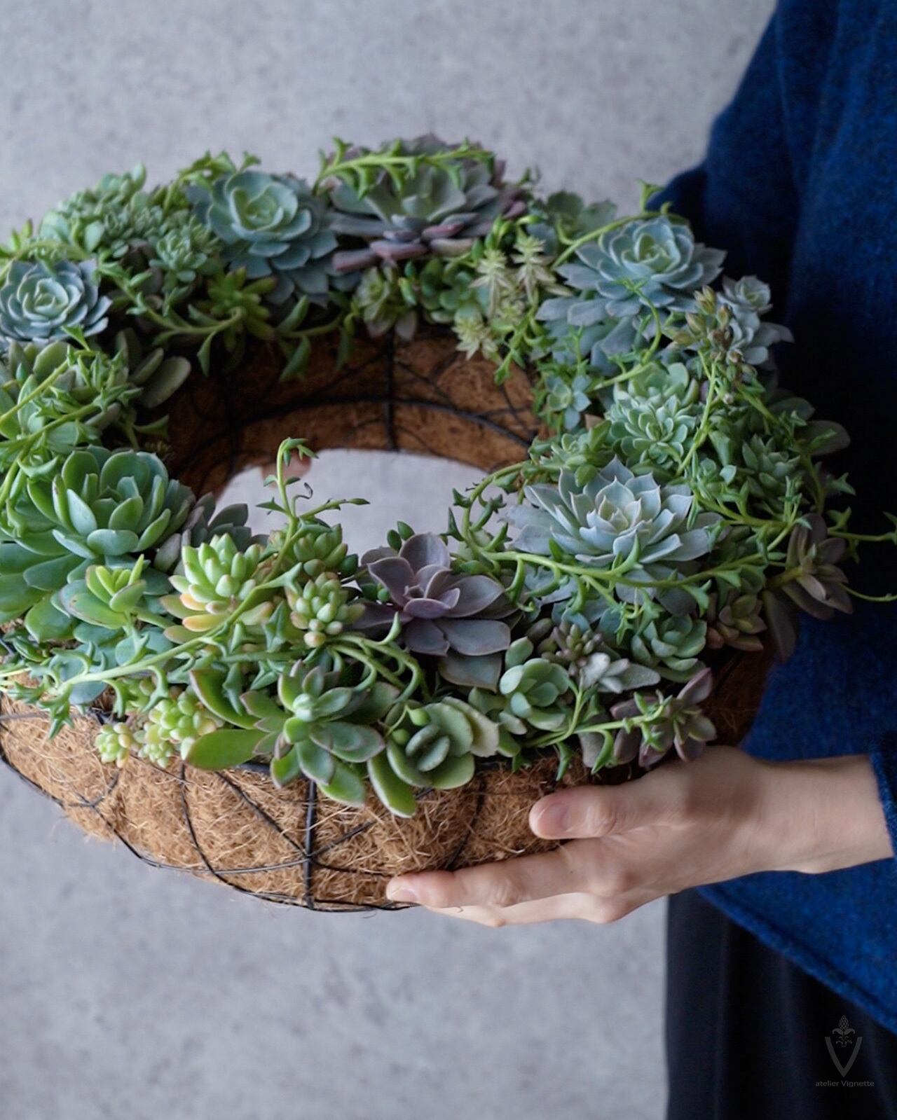 寄せ植え】大きめ多肉植物のリース φ35cm 【生の多肉植物リース】 | Pay ID