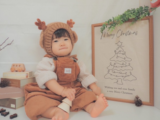 moon port original no.196  Christmasタペストリー中♡