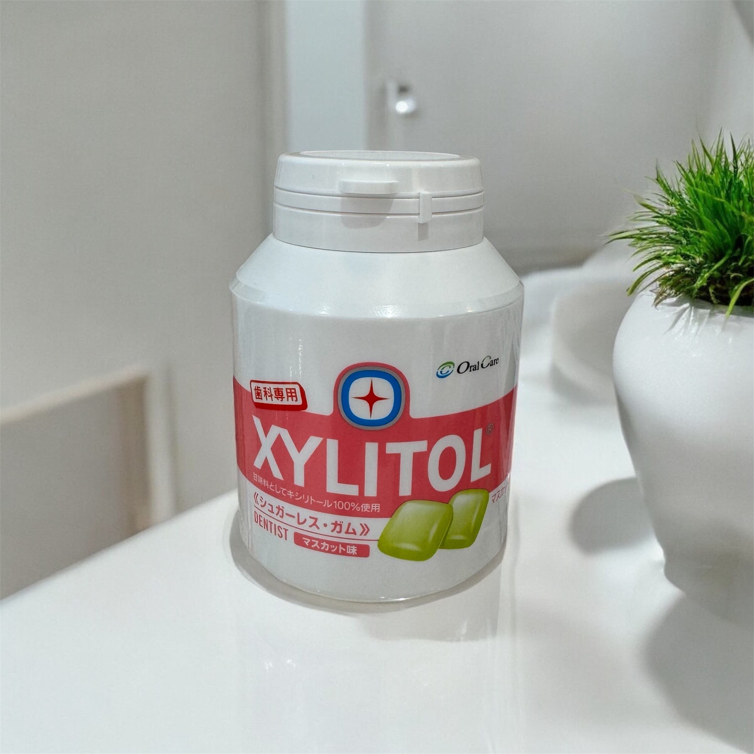 meito ハーブミントのど飴54g ×60 【全国送料込】(沖縄・離島