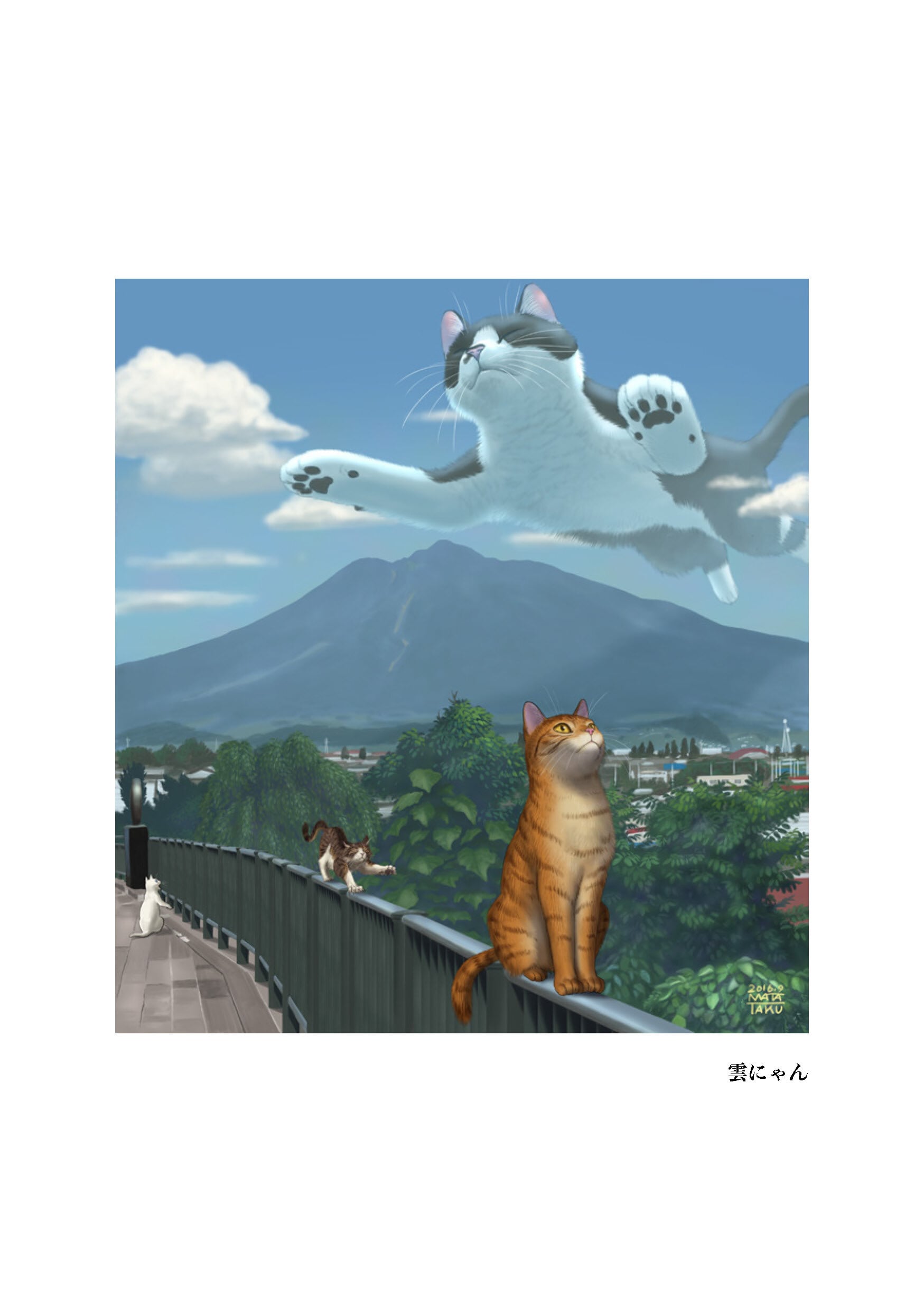 瞬く猫たち ／ 瞬く | Arquet