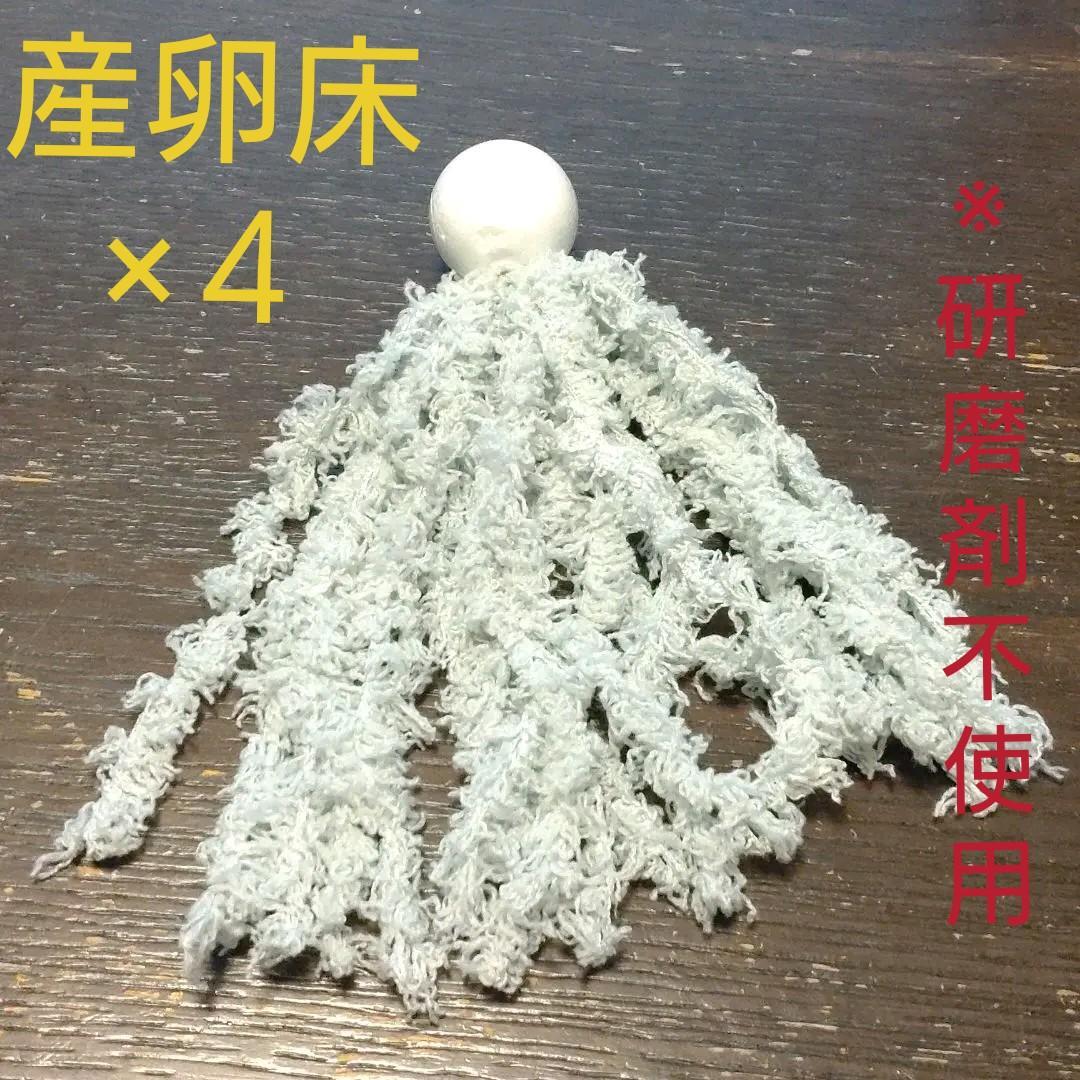 メダカ 産卵床（ふわふわ） ※研磨剤不使用 | ちゃぶ