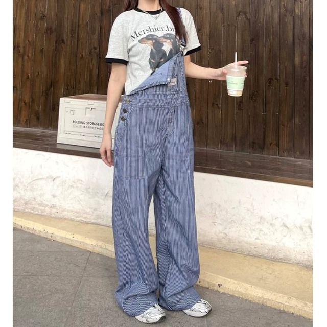 ダックスフントグラフィックリンガーTシャツ 2col R02294