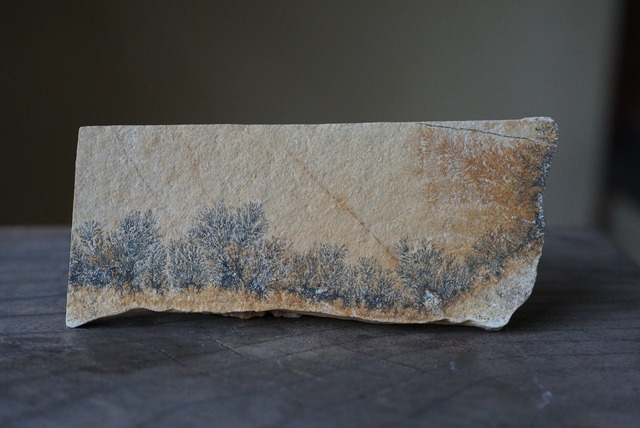 デンドライト 忍石 Dendritic limestone ⑤