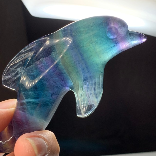4.極上☆超透明！多彩な色合い☆イルカフローライト置物