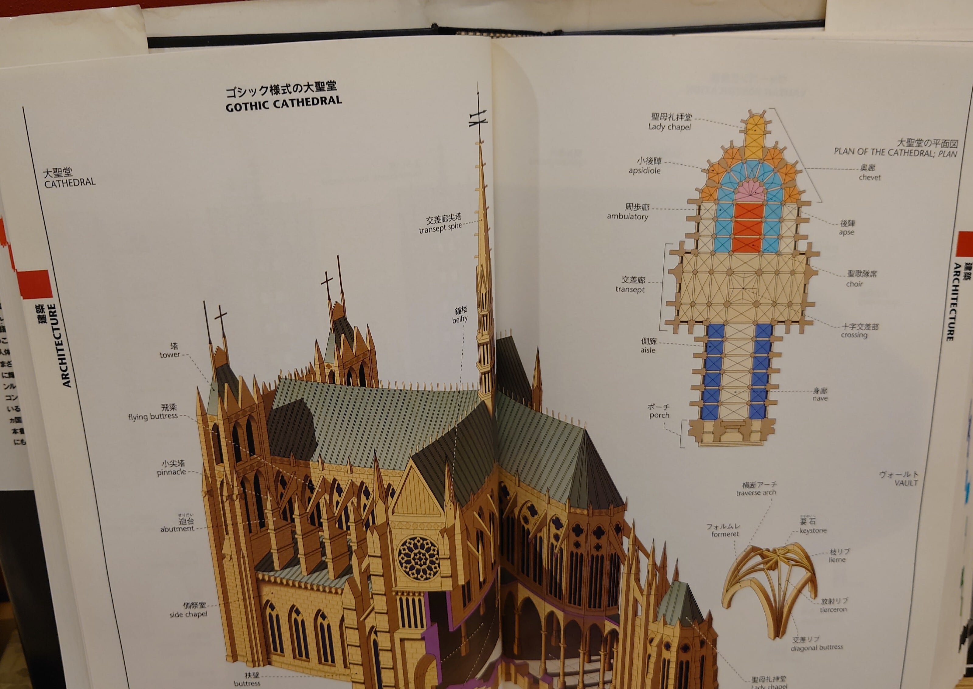 ワーズ・ワード 絵でひく英和大図鑑 | 弥生坂 緑の本棚