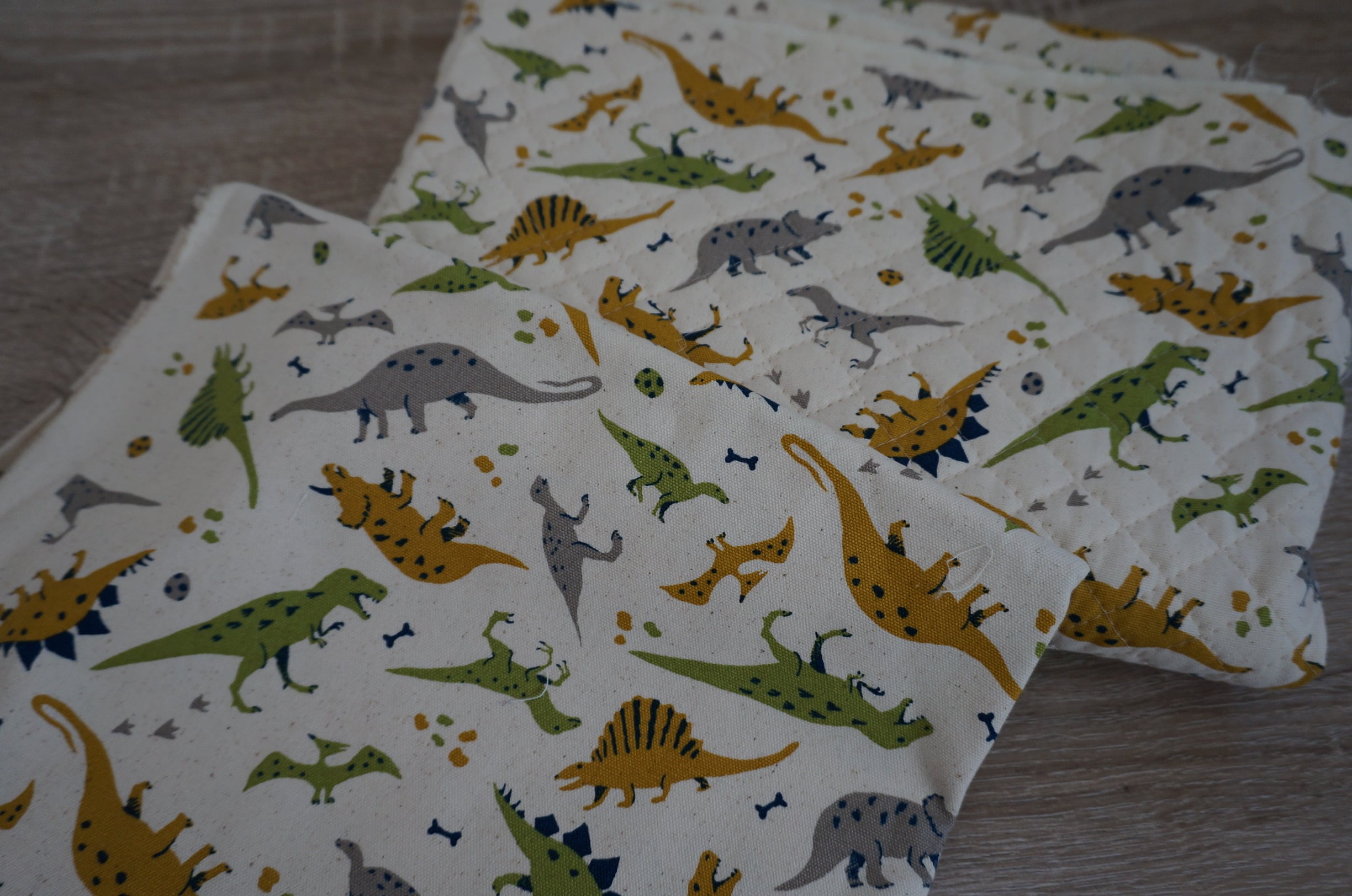 吉田幼稚園セミオーダー】教材入れ＆巾着袋3点お揃いセット［恐竜