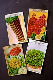 20s フランス 4set 膨満な花々と野菜たち 種子袋用ラベルm アンティーク