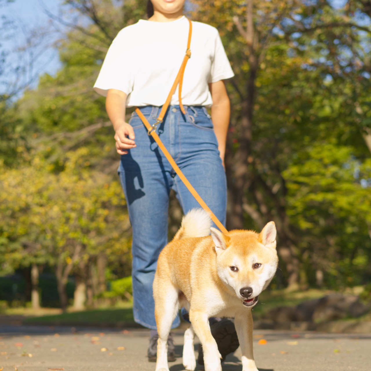 Shoulder lead