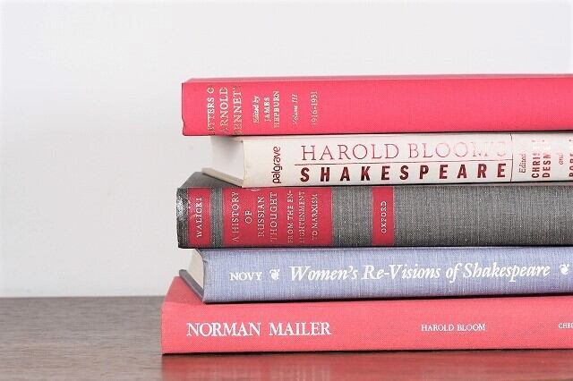 【DC698】NORMAN MAILER -5set- / display book