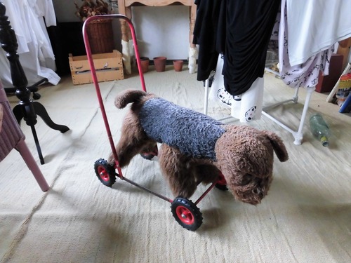 D21-055 犬のトーイ