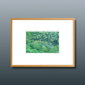 森の扉 #01 ■額縁サイズ(八切判)303㎜×242㎜