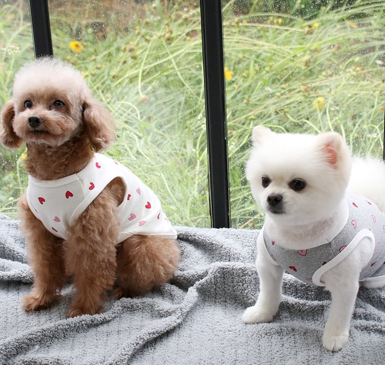 ラブリータンクトップ S ~ XL 3color / 犬服 春夏 新作 可愛い 犬の服 ドッグウェア コットン100% 猫 ペット top87