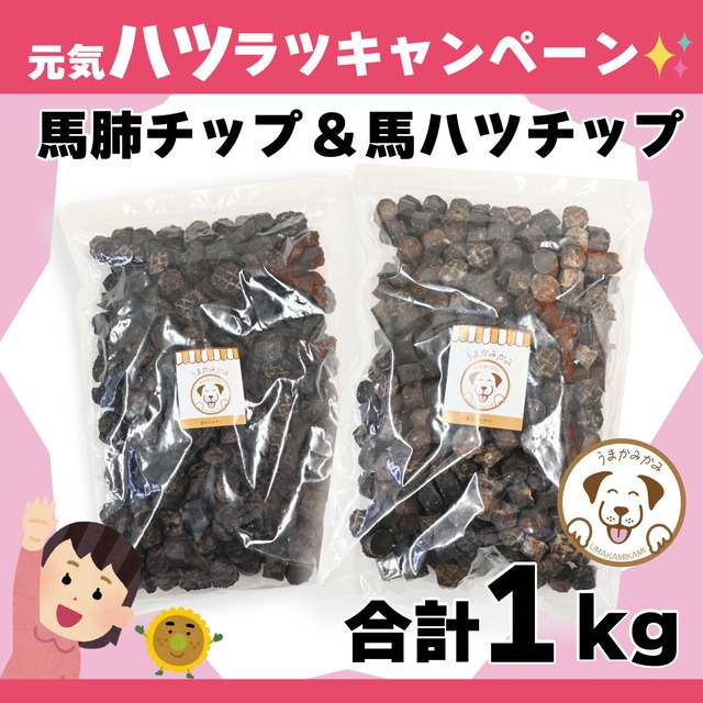 【月間お買い得】馬肺チップと馬ハツチップセット(各500g)合計1kg