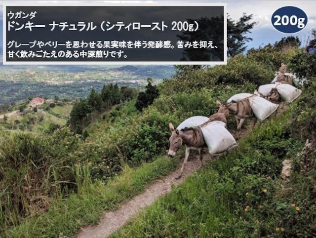 ウガンダ ルウェンゾリ ドンキー ナチュラル(シティロースト 200g)