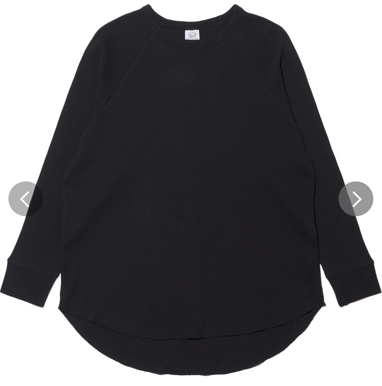 サーマルラグランロン T フルーツオブザルーム | andco